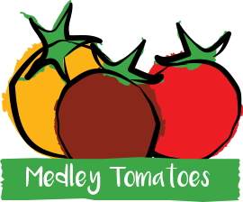 Medley Tomatoes